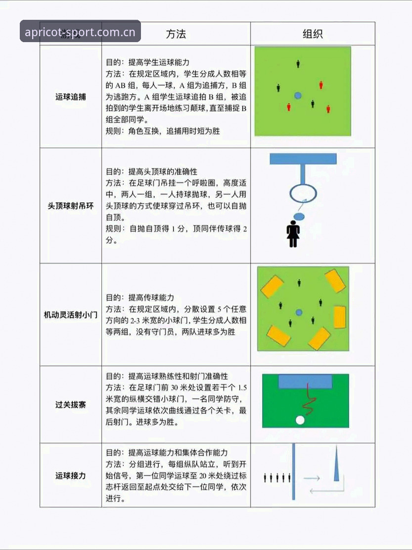 杏运体育在线娱乐实用指南：从入门到精通的必备知识